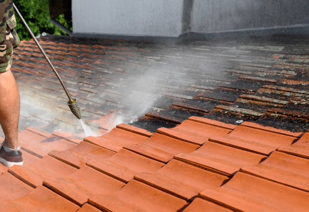 Pressure Washing Services for Businesses in Lapeer, MI