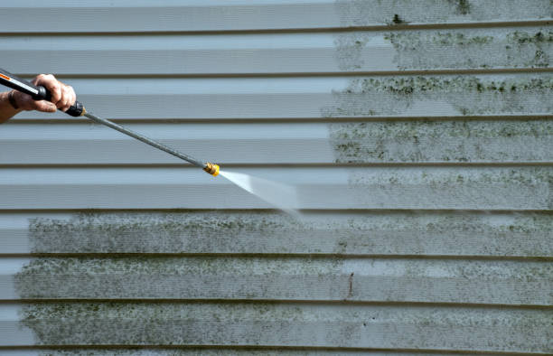 Best Fence Pressure Washing  in Lapeer, MI