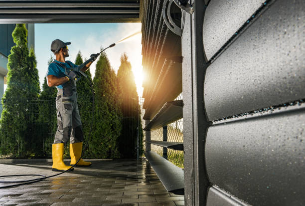 Best Exterior Home Cleaning  in Lapeer, MI