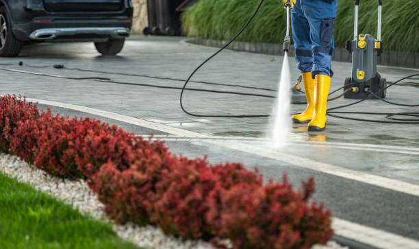 Best Fence Pressure Washing  in Lapeer, MI