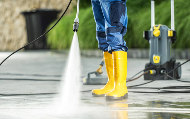 Best Pressure Washing Cost  in Lapeer, MI