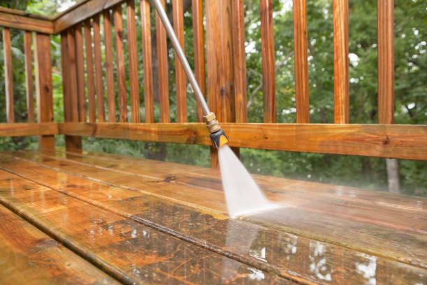 Best Deck Pressure Washing  in Lapeer, MI