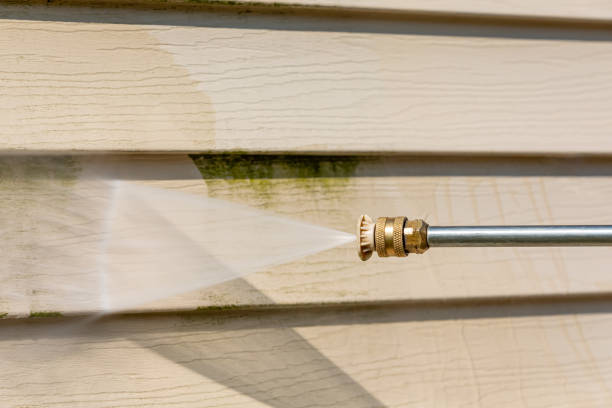 Best Garage Pressure Washing  in Lapeer, MI