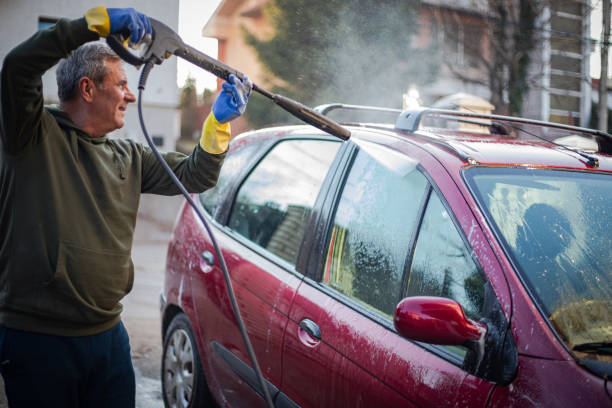Best Roof Pressure Washing  in Lapeer, MI