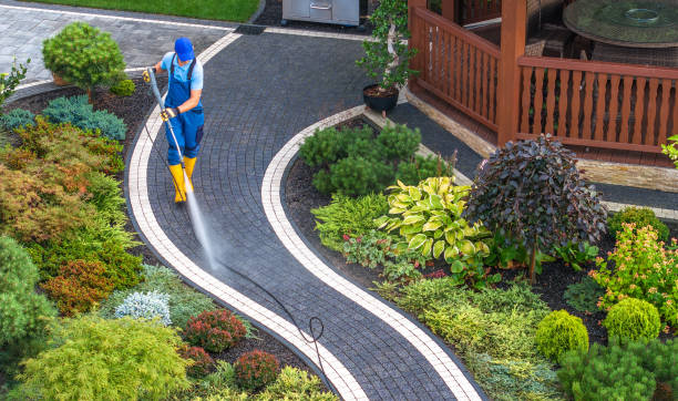 Best Deck Cleaning Services  in Lapeer, MI